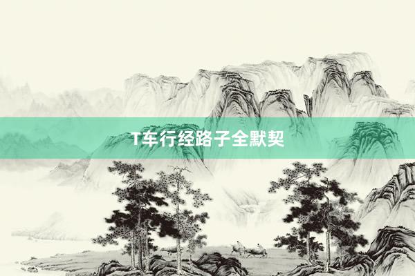 T车行经路子全默契